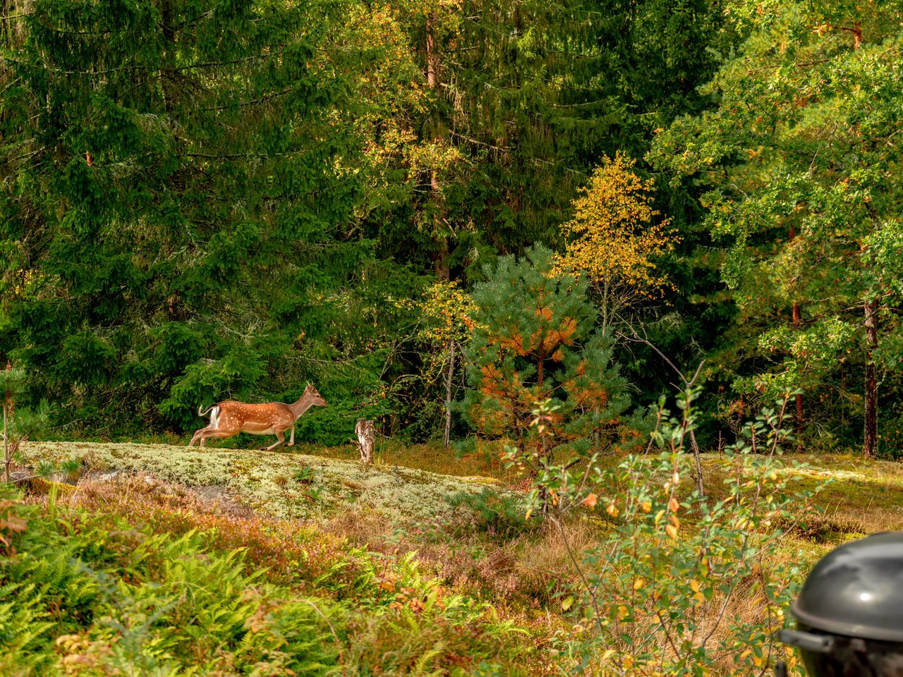 Sjöbergavägen 42