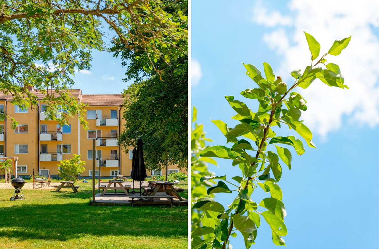 Bäckaskiftsvägen 46