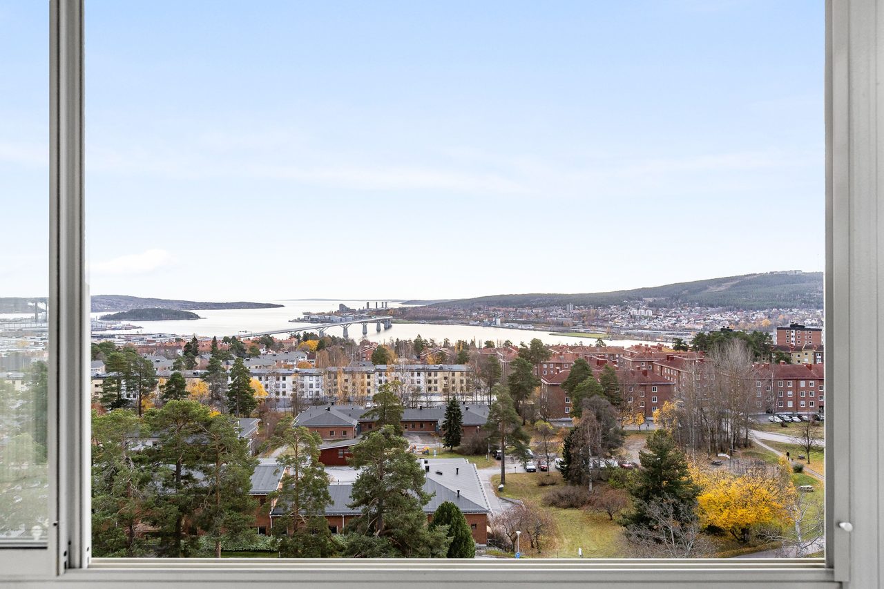 Utsikt från festvåningen