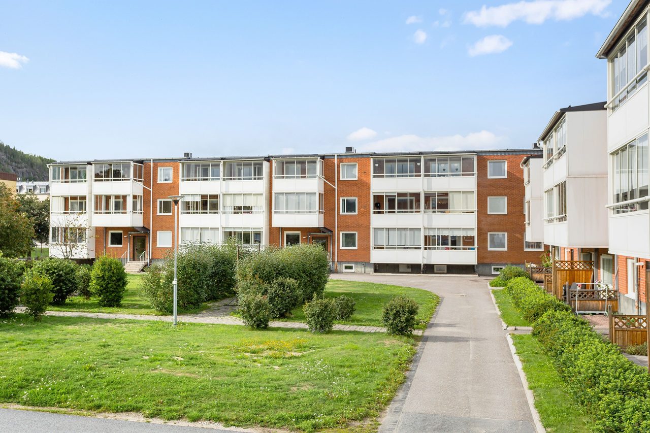 Grönskande innergård