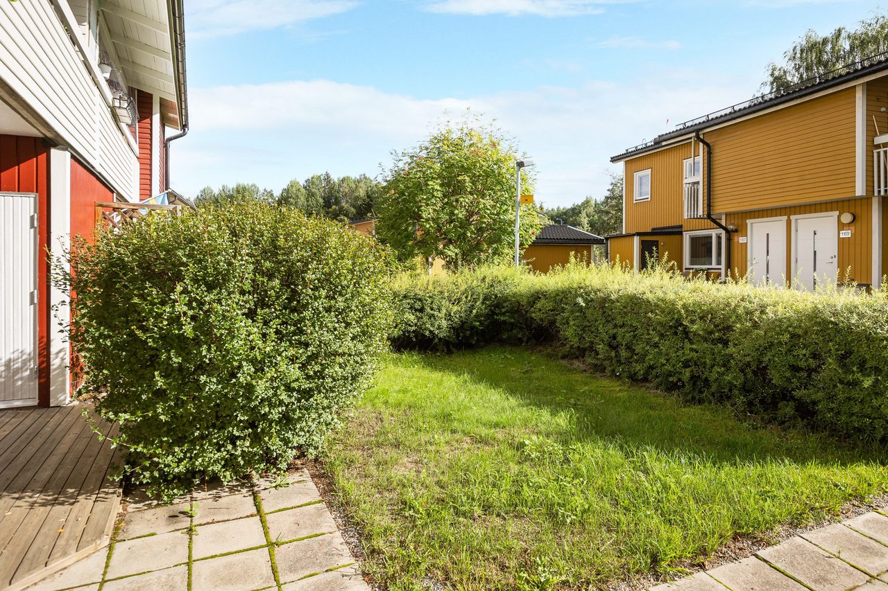 Lättskött gräsyta