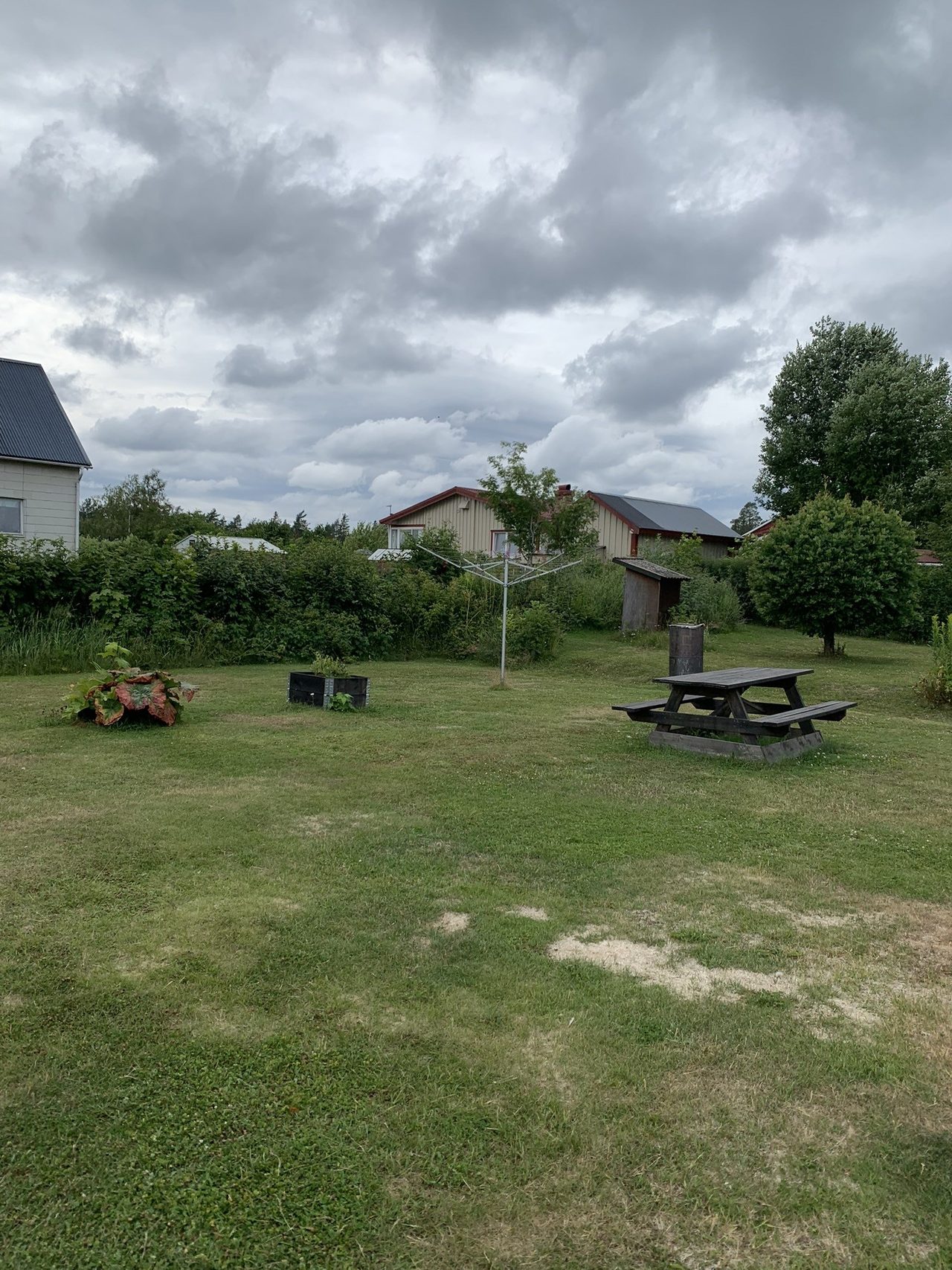 Del av tomten (säljarens sommarbild)