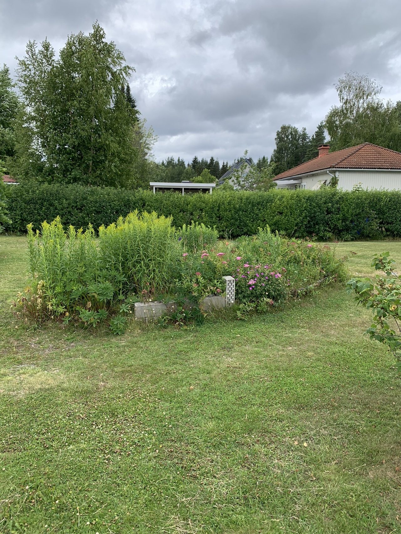 Säljarens sommarbild