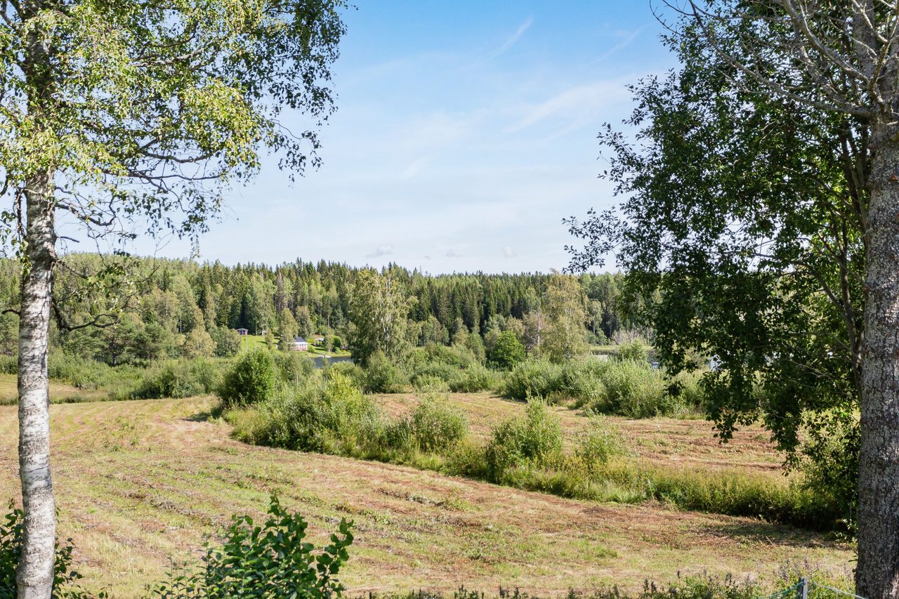 Utsikt över ängar mot sjön