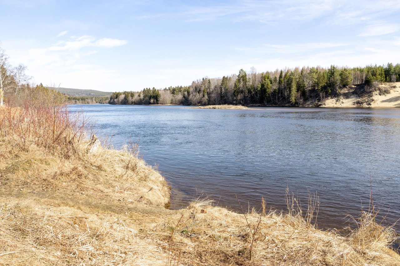 Här längs älvkanten brukar säljaren ta ett dopp