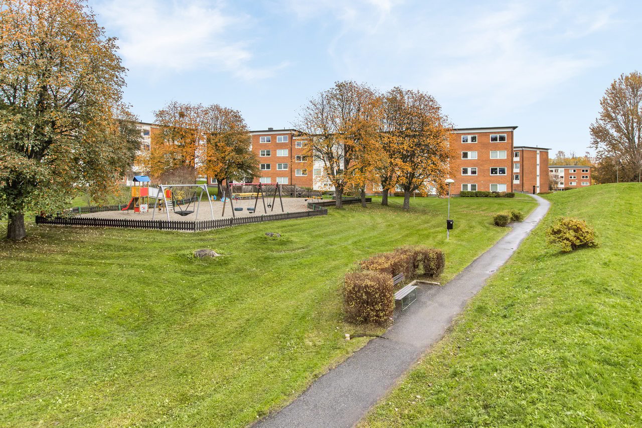 Höstbild från föreningens innergård