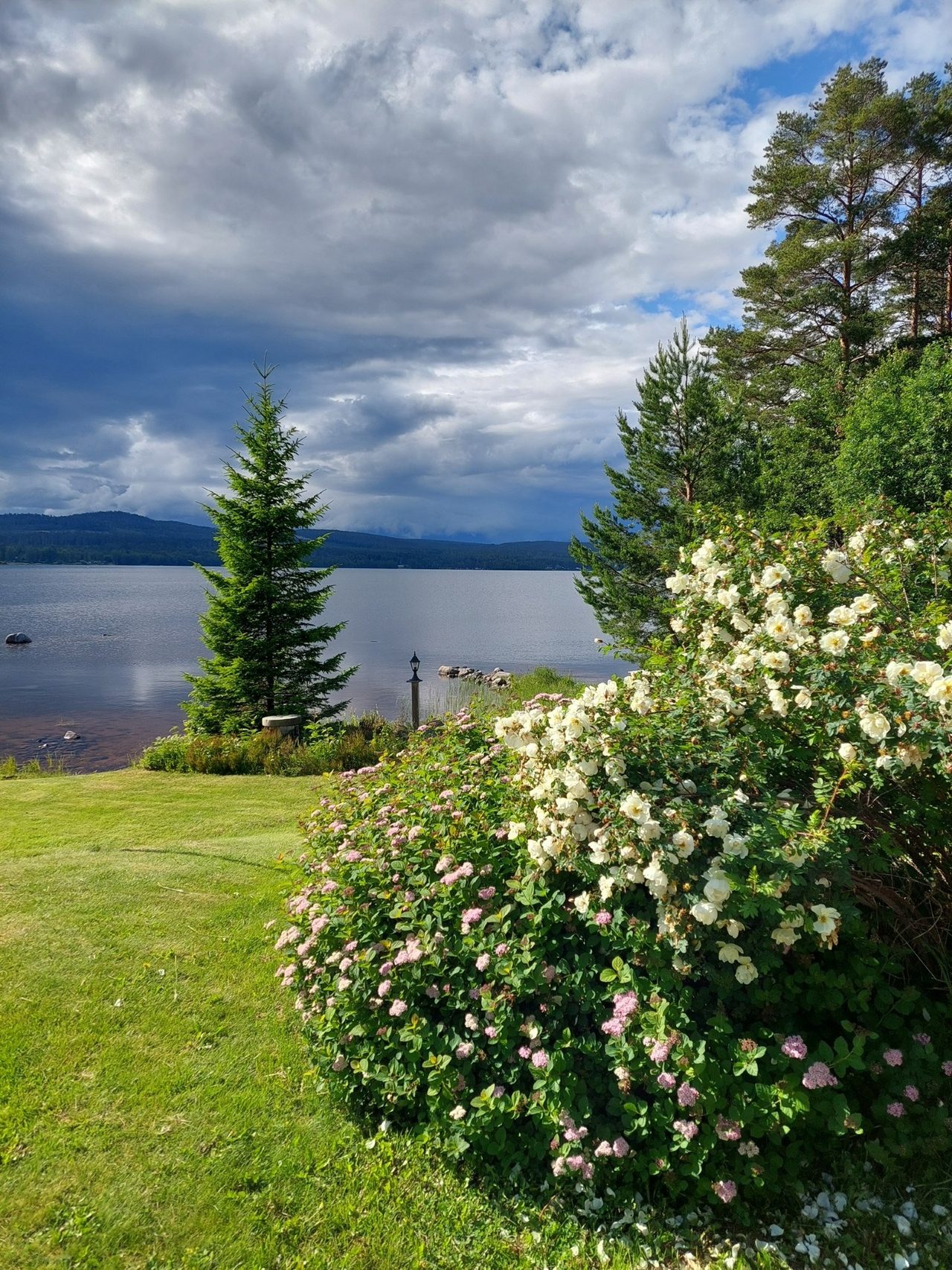 Säljarens sommarbilder