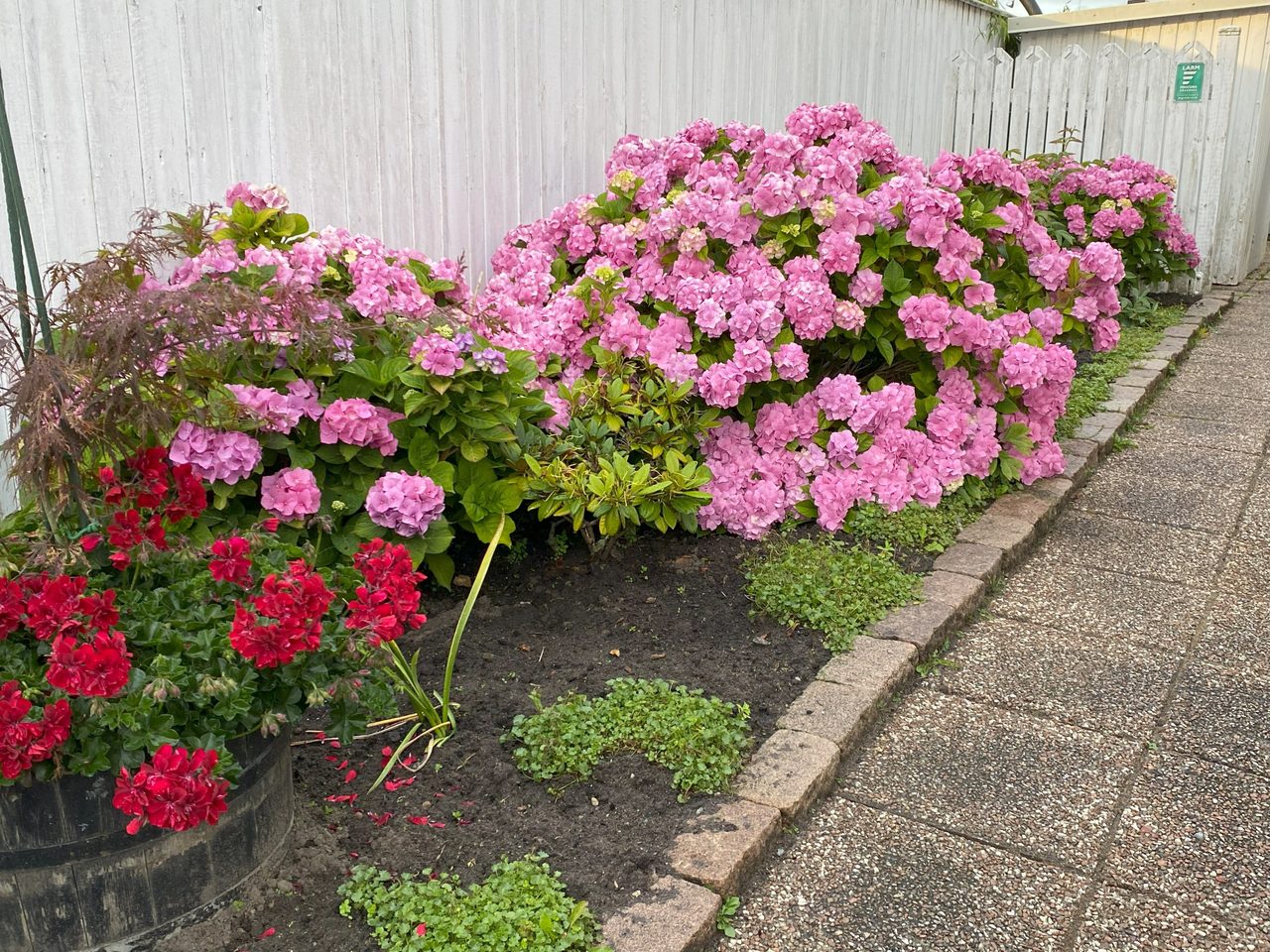 Säljarens bild - Entrégång