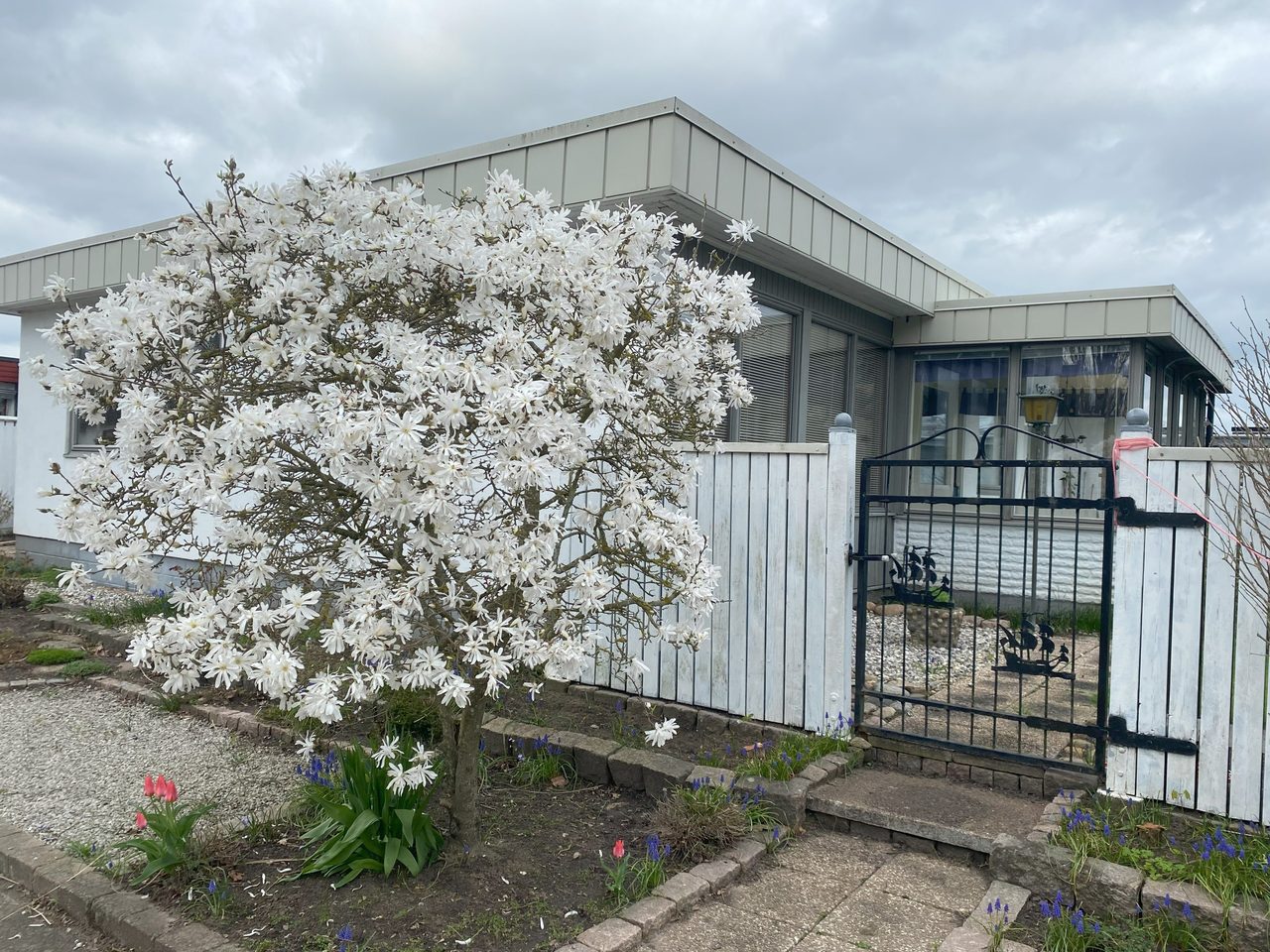 Säljarens bild - Fin entré till trädgård tidig vår