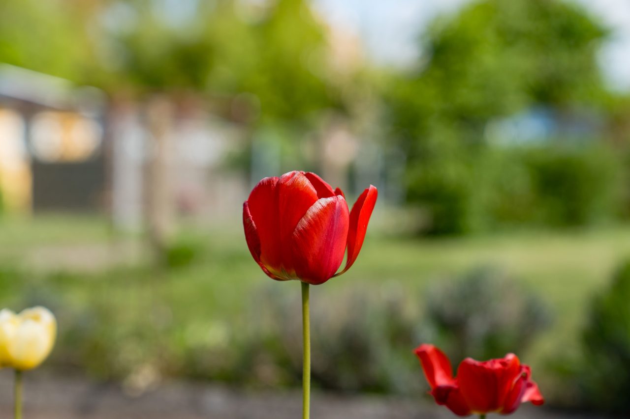 S:t Olovs vång gång 8, Stuga nr 14