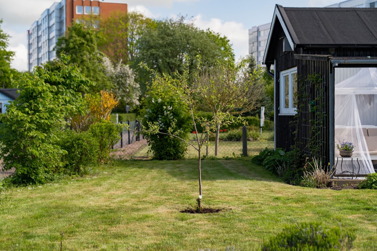 S:t Olovs vång gång 8, Stuga nr 14