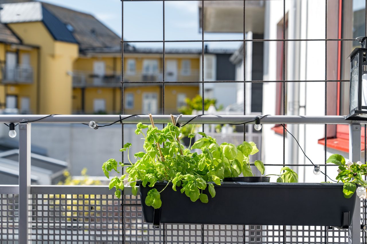 Stora Strandgatan 6A