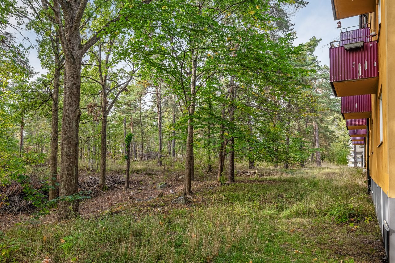 Strahlenbergsgatan 20