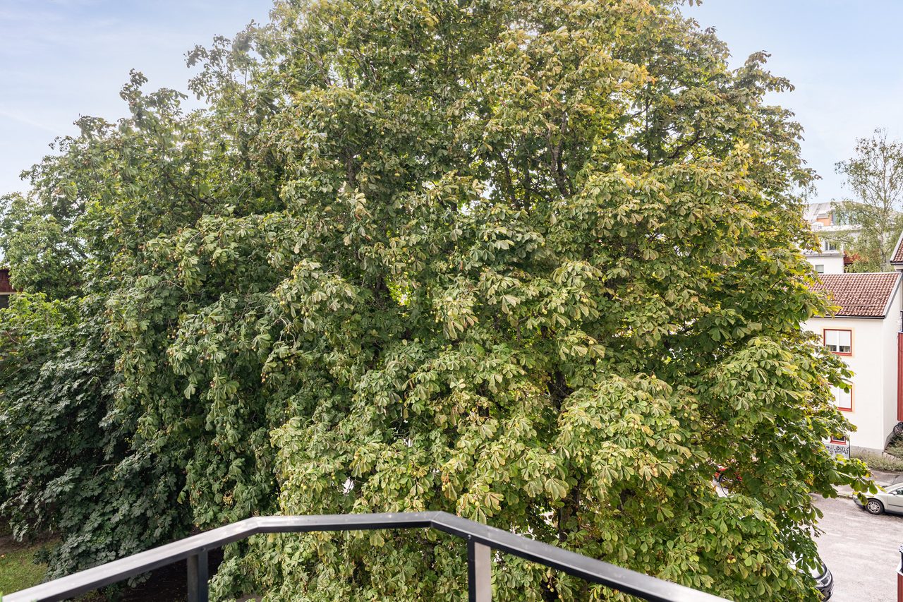 Paternostervägen 24