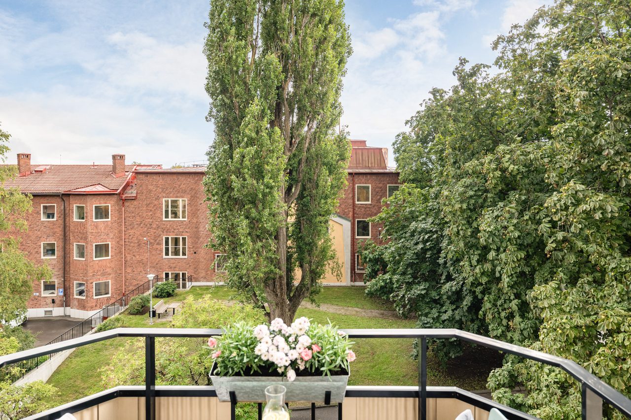 Paternostervägen 24