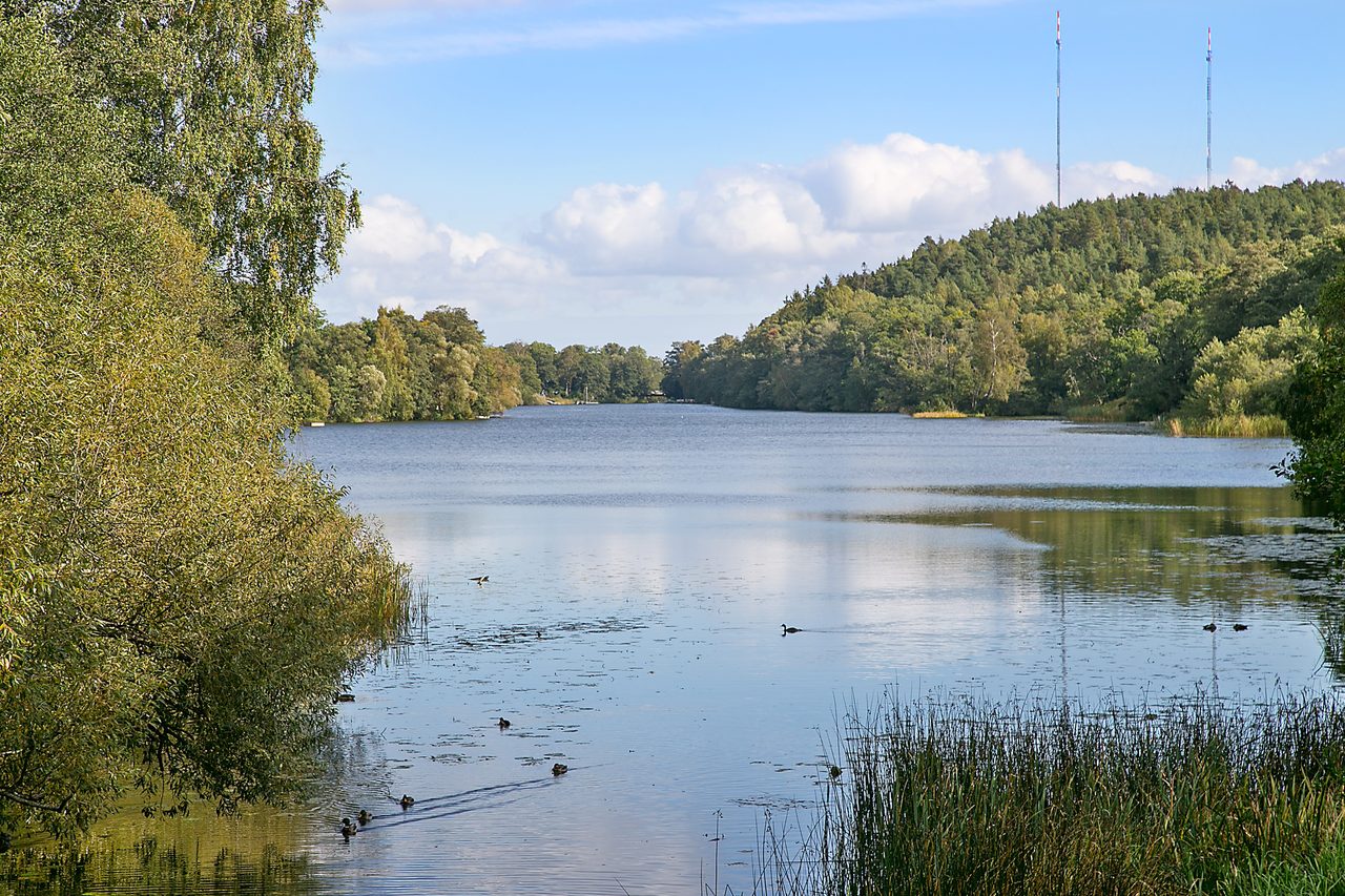 Sten bergmans väg 21