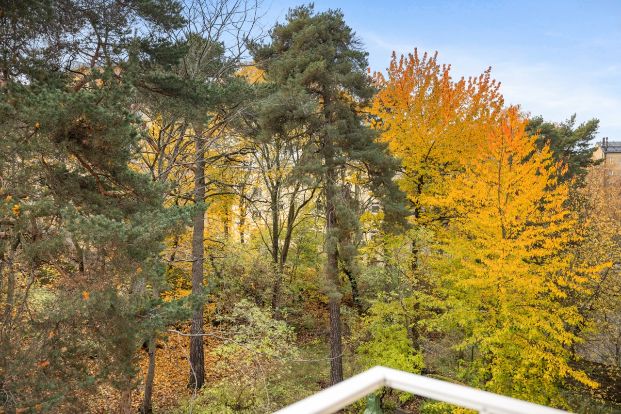 Olaus Magnus väg 20