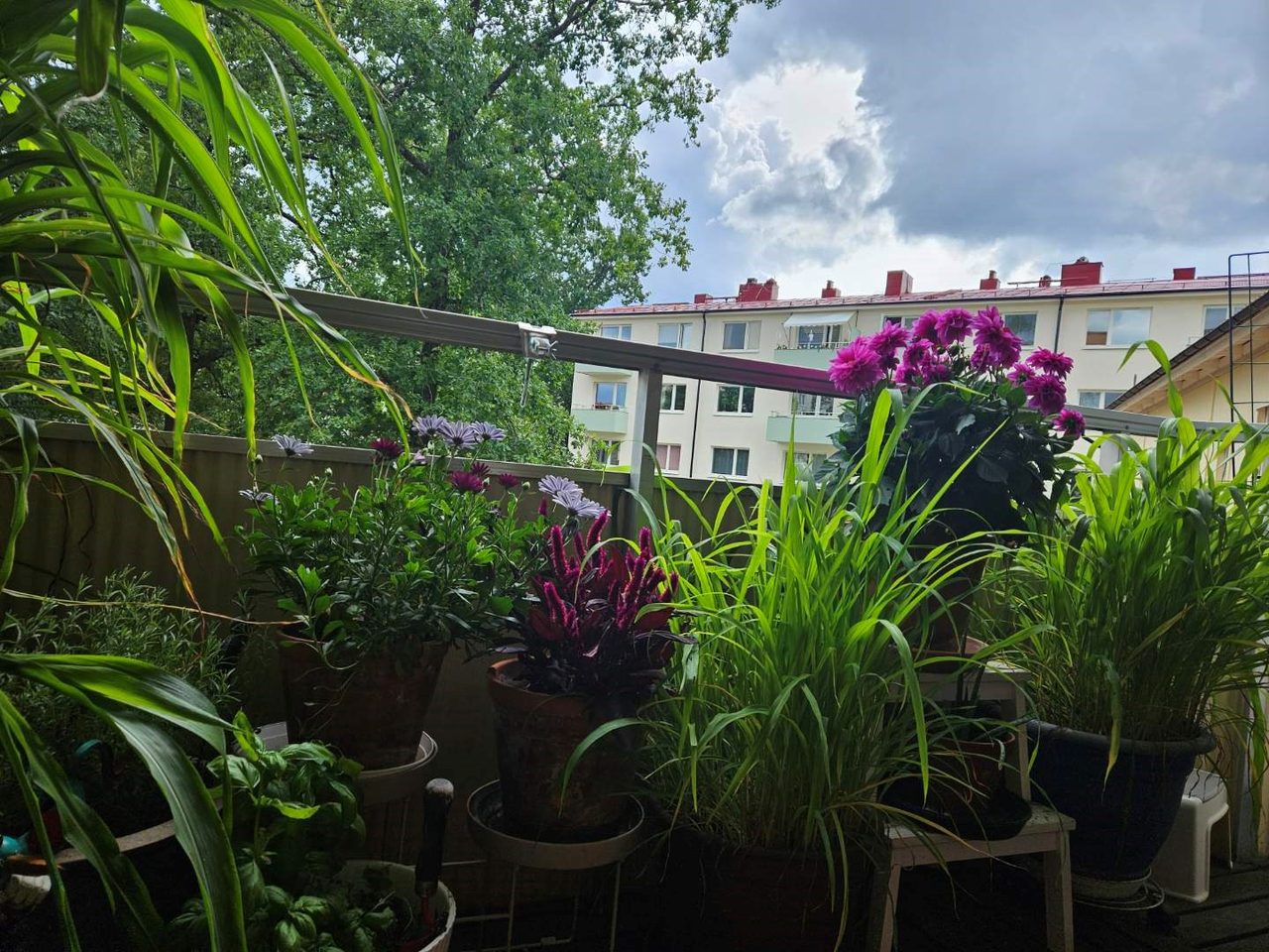 Sten Bergmans väg 37