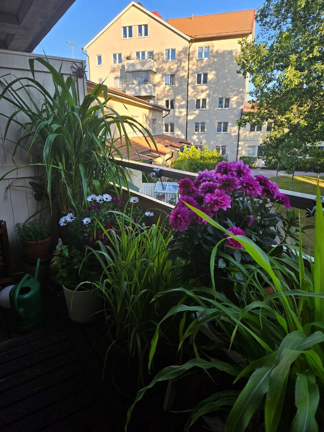 Sten Bergmans väg 37