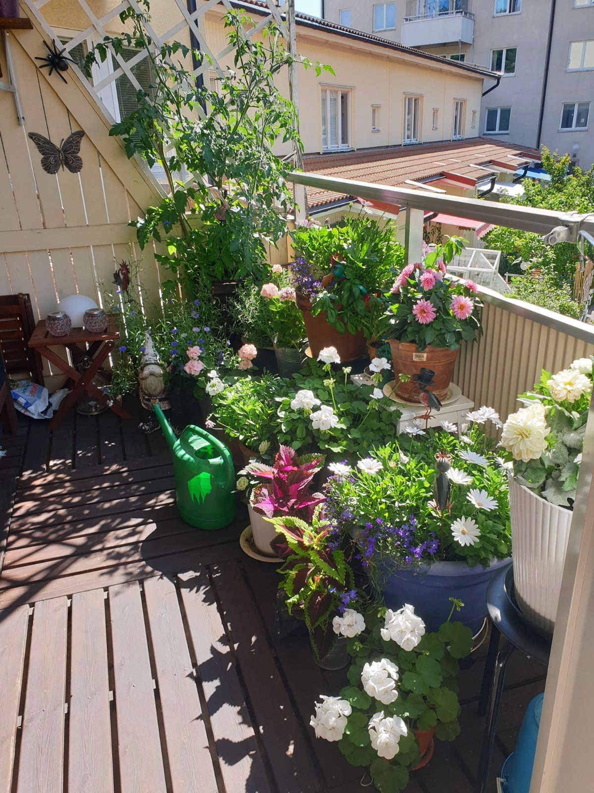 Sten Bergmans väg 37