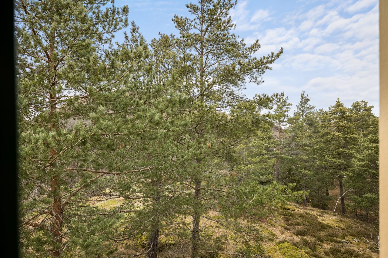 Finn Malmgrens väg 75