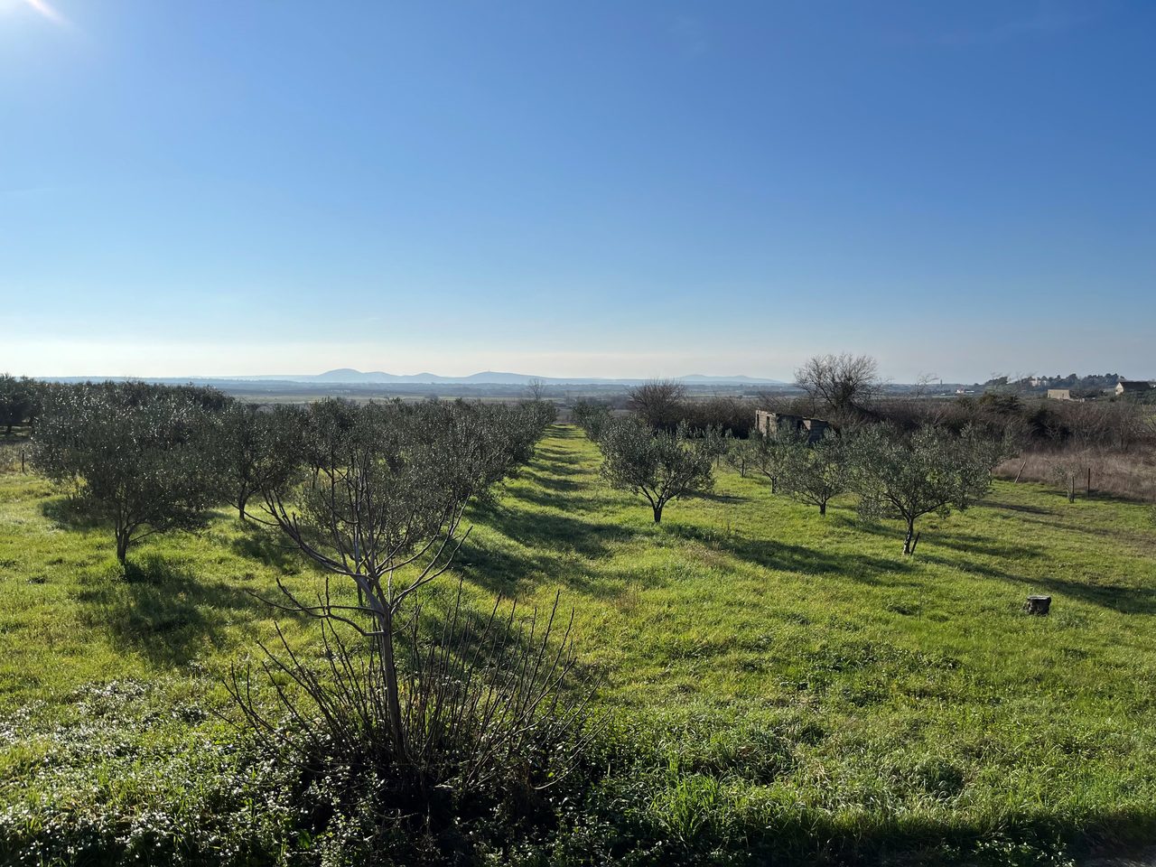 Building plot Zadar region