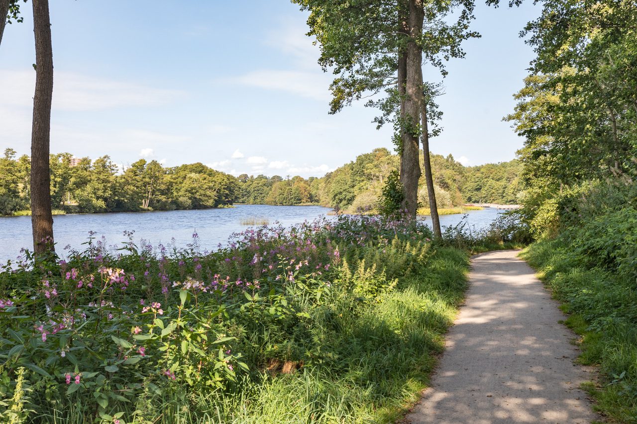 Klara Johansons gata 7