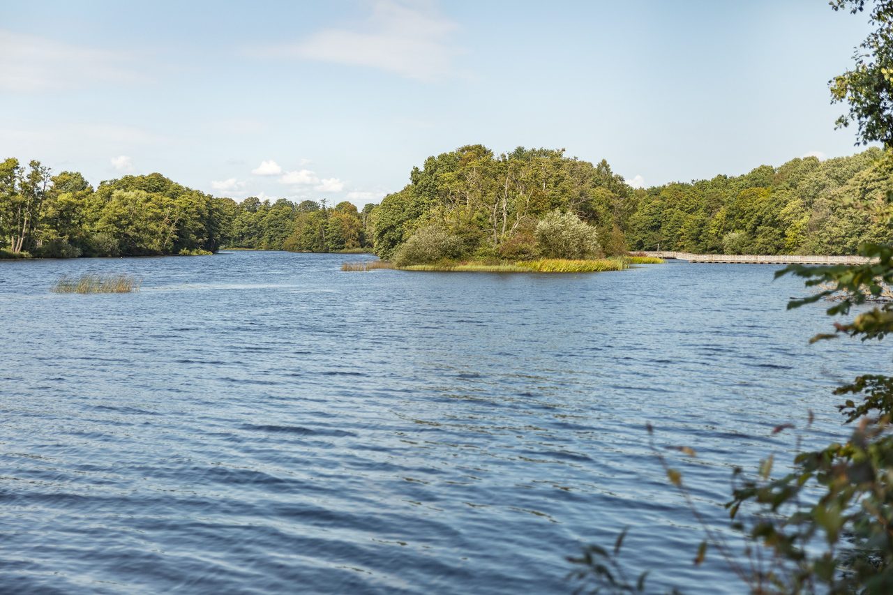 Klara Johansons gata 7