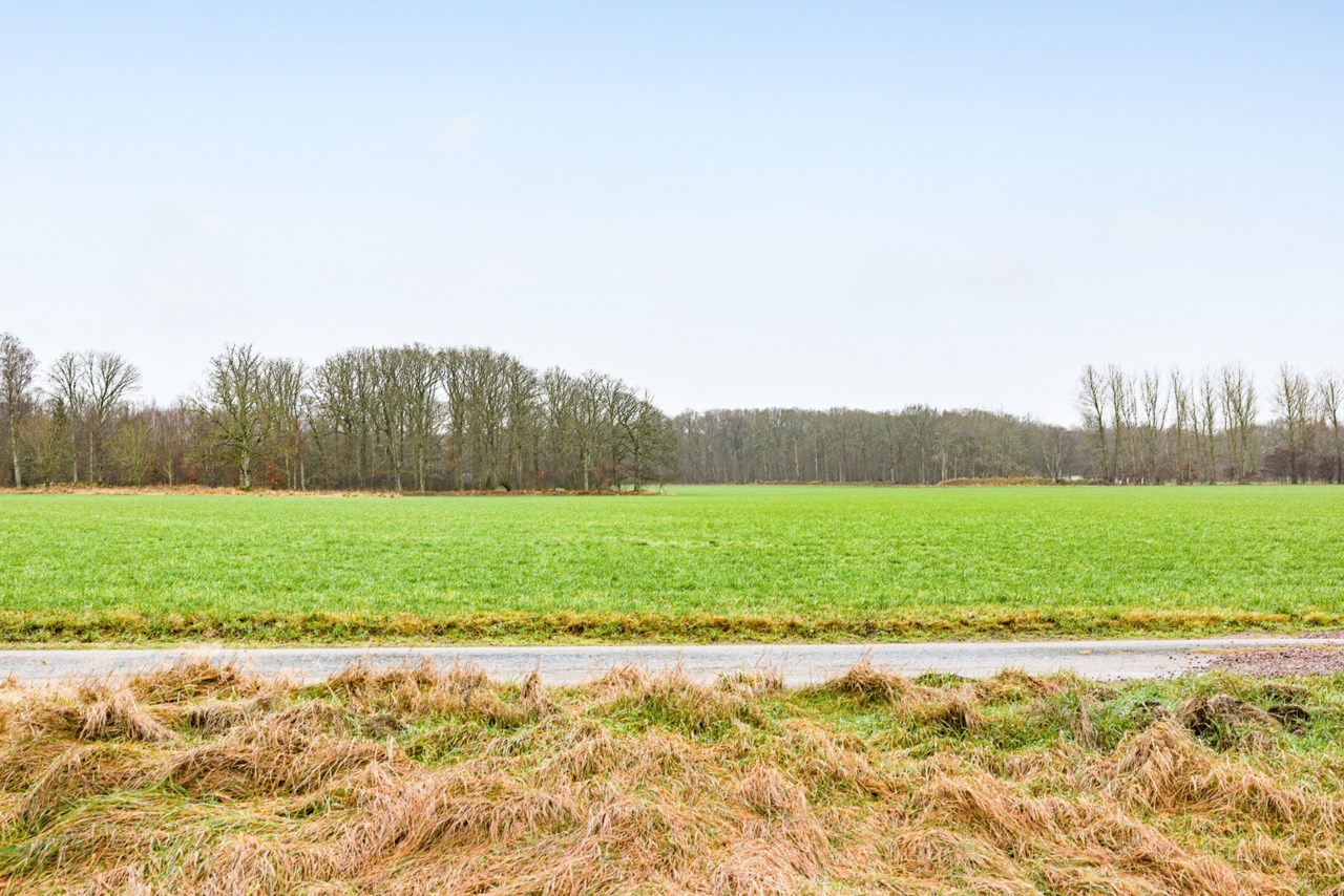 Del av Klastorp Hallen 412