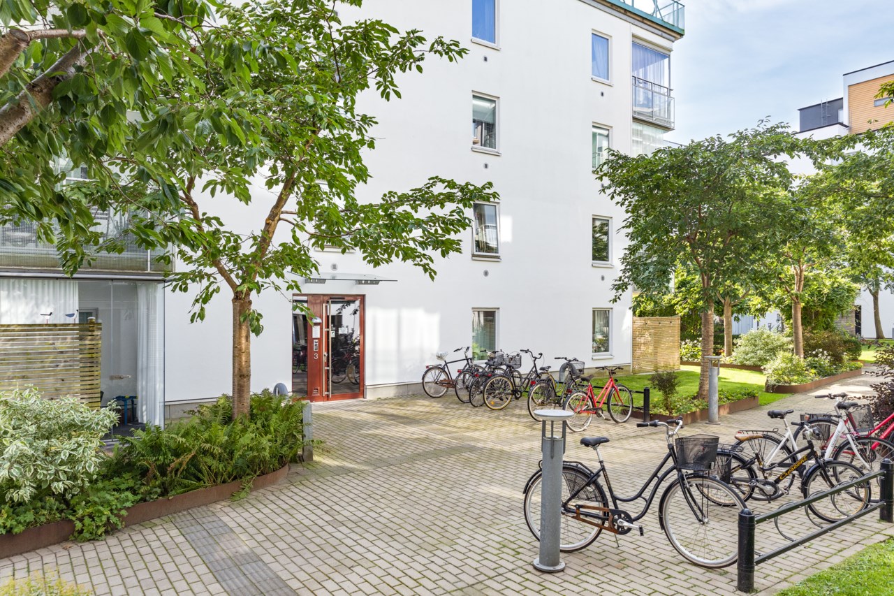 Esaias Thoréns Gata 3