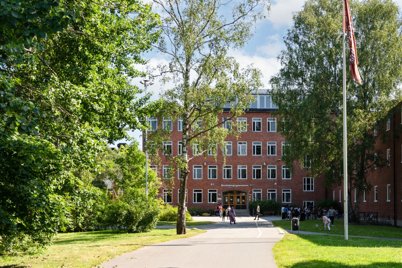 Elias Lönnrots väg 9