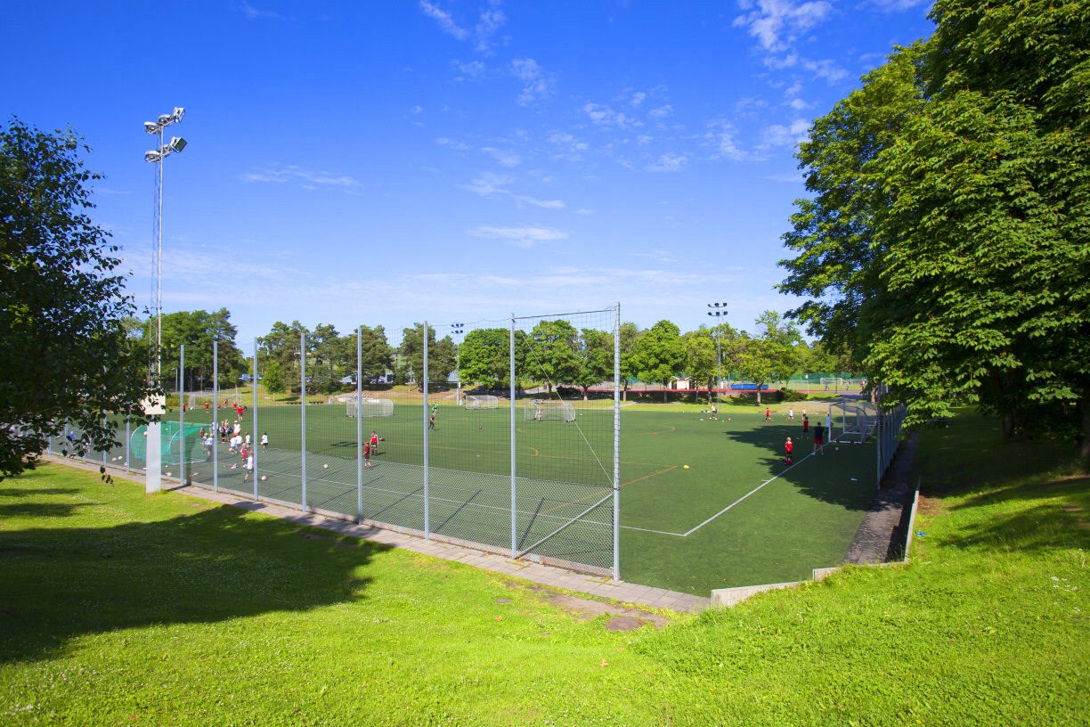 Stora Mossen IP