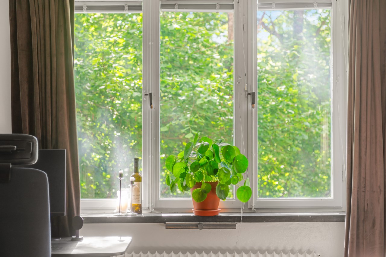Bårdgränd 9