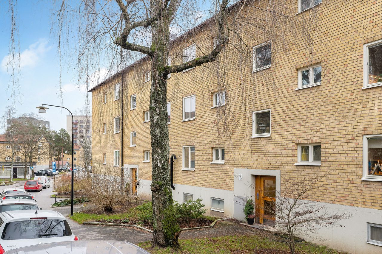 Holbergsgatan 142