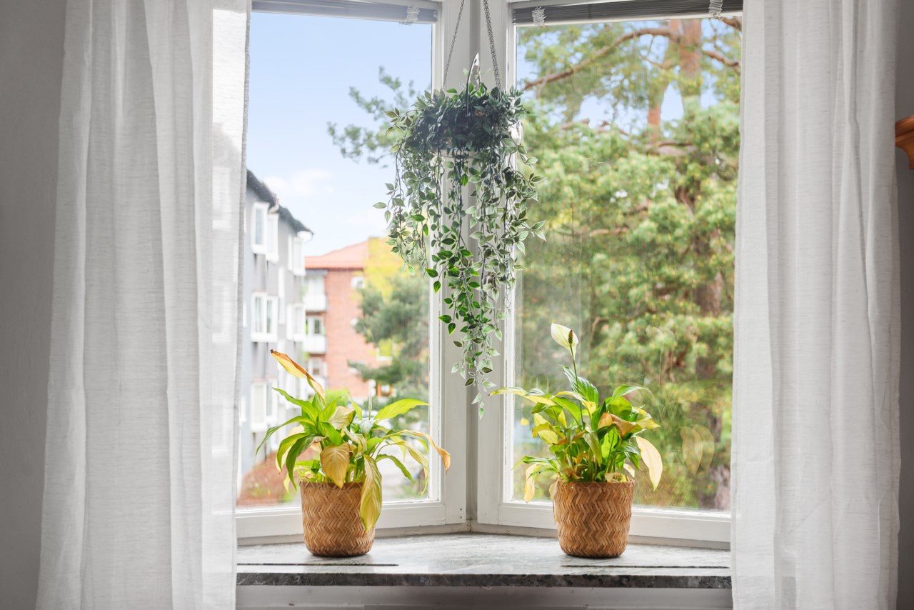 Holbergsgatan 46