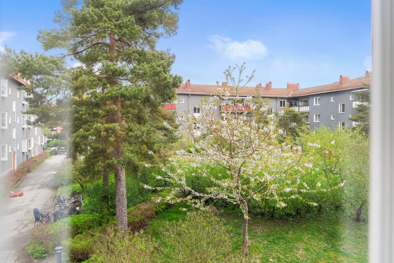 Holbergsgatan 46
