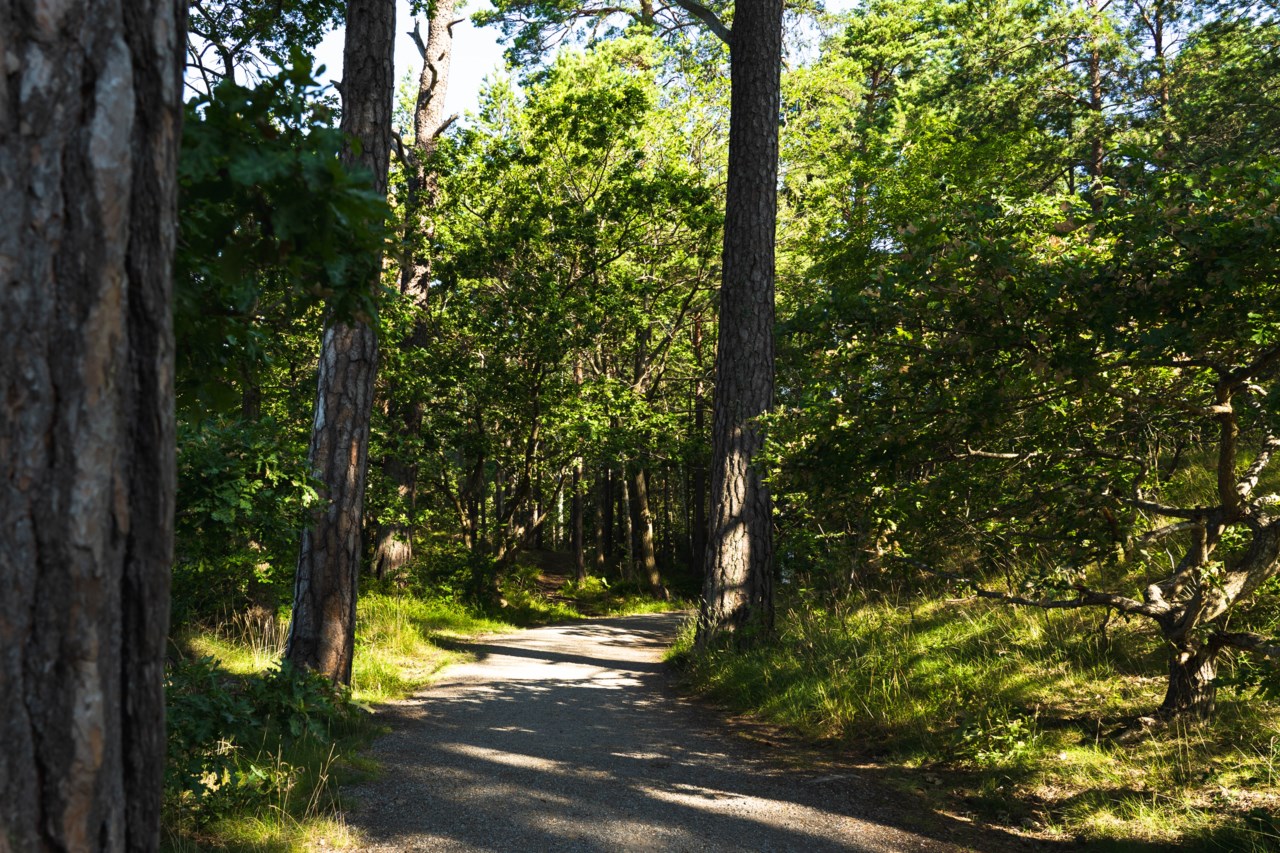 Holbergsgatan 46