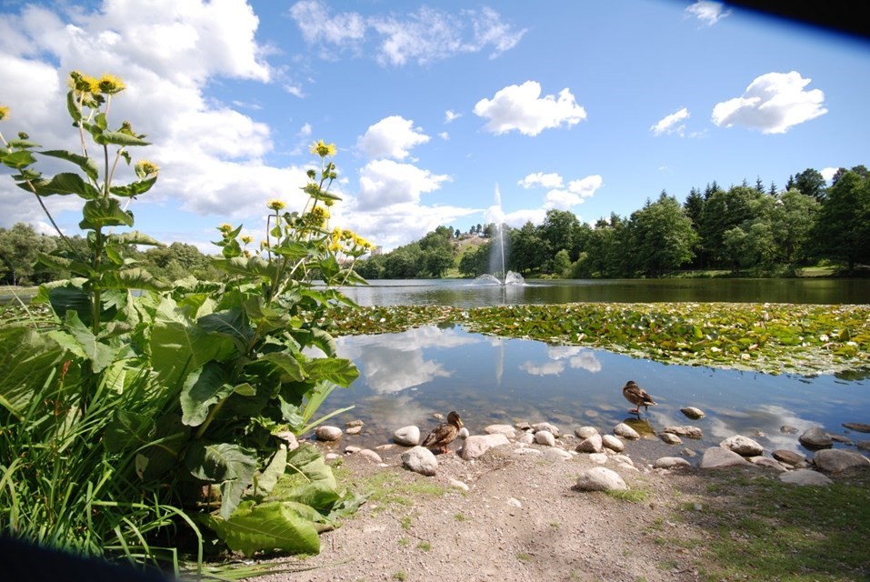 Lötsjövägen 47
