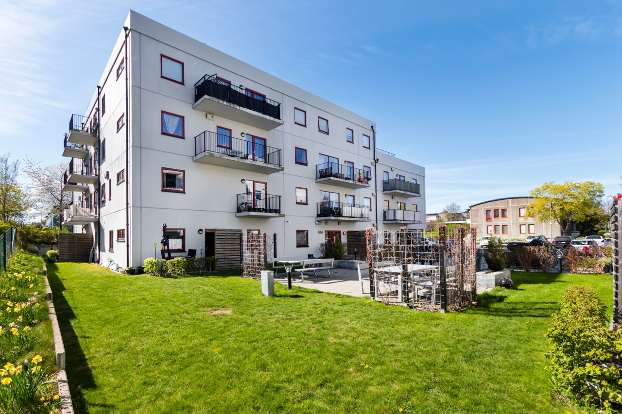 Ormingeringen 62A