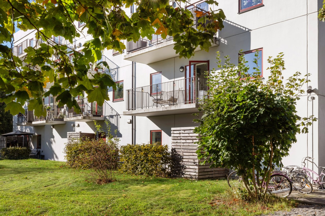 Ormingeringen 62B