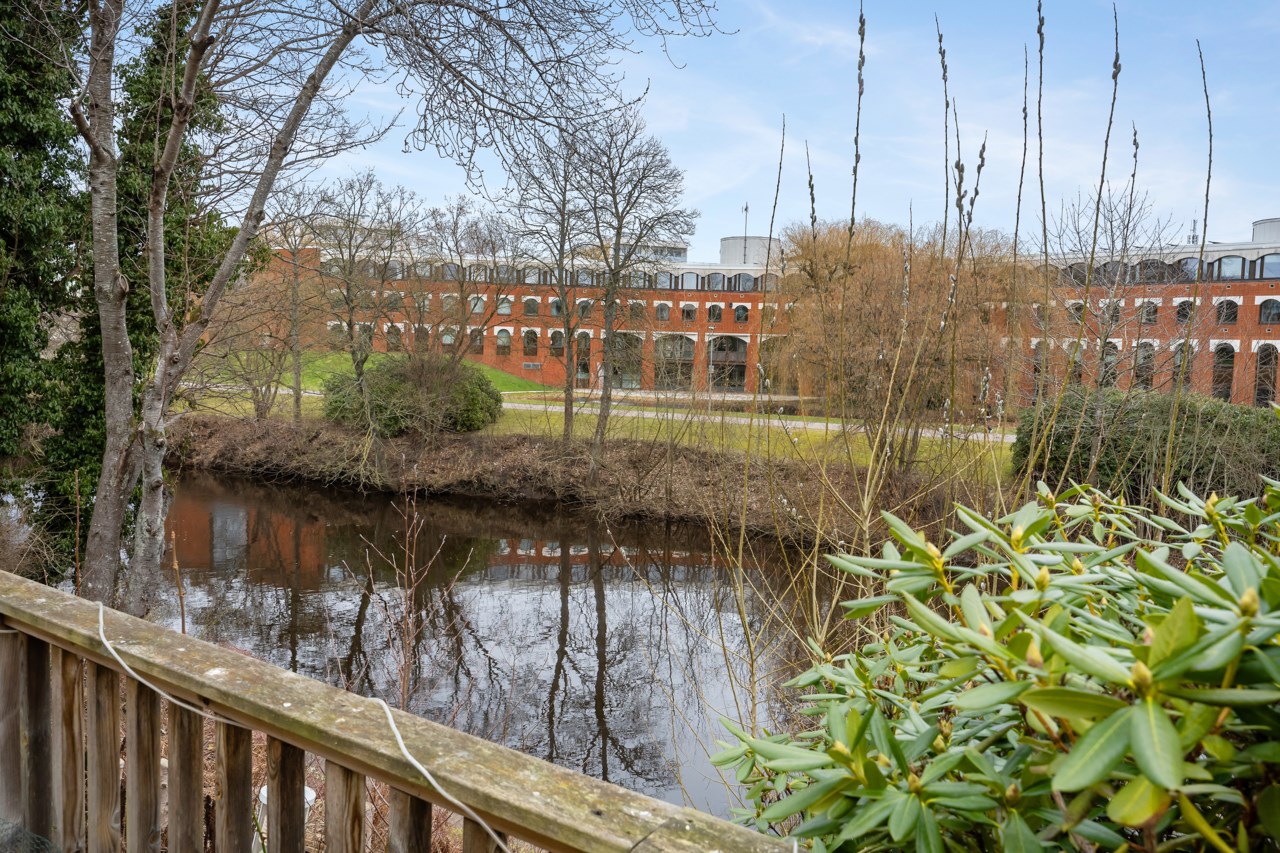 Rönneå med stadshuset i bakgrunden