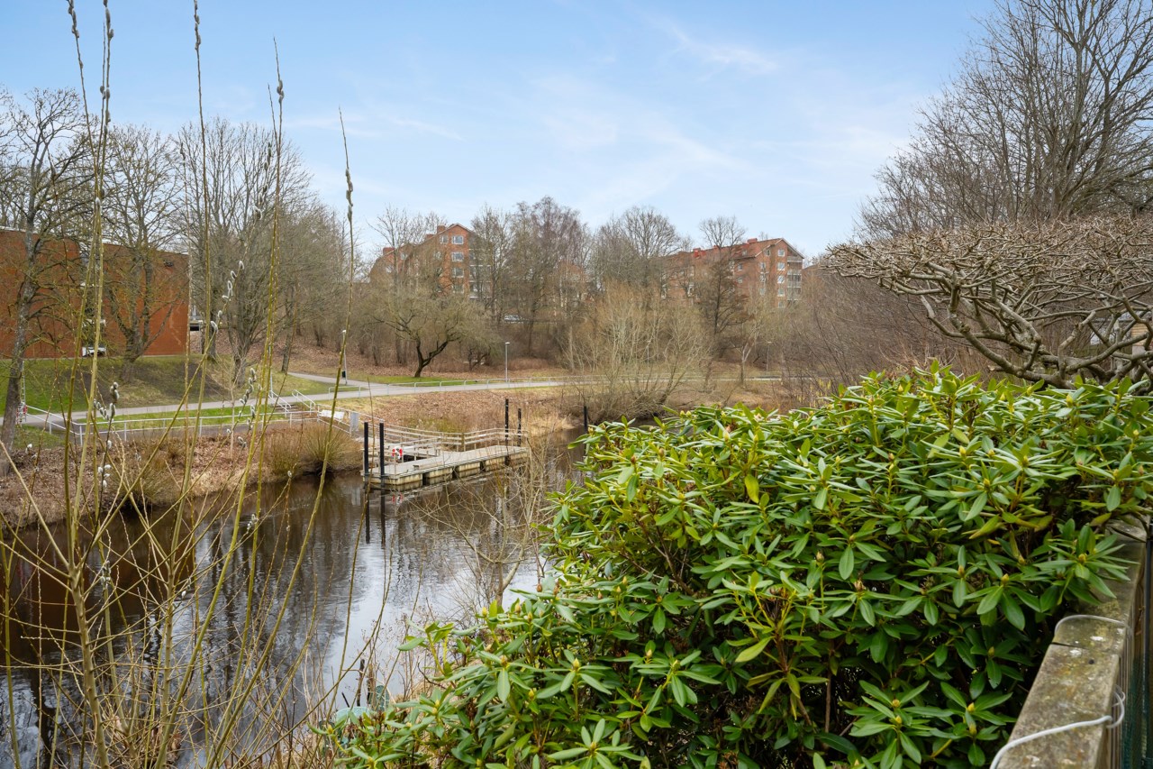 Utsikt från terrassen