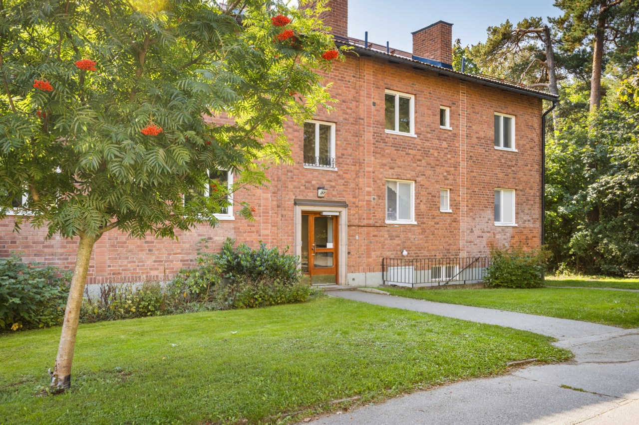 Broddgränd 37