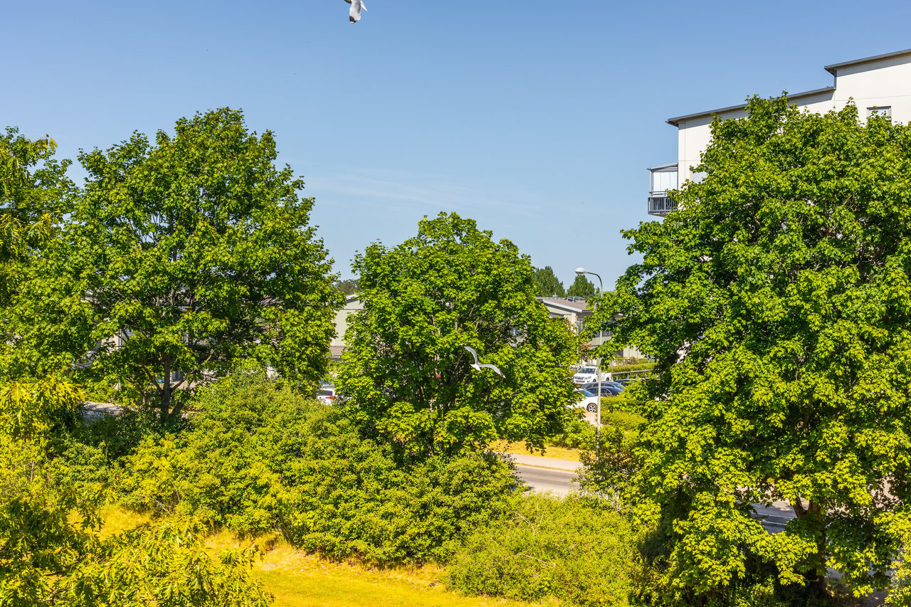Ekholmsvägen 255