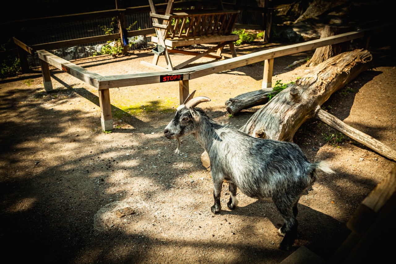 Gösta Ekmans Väg 17