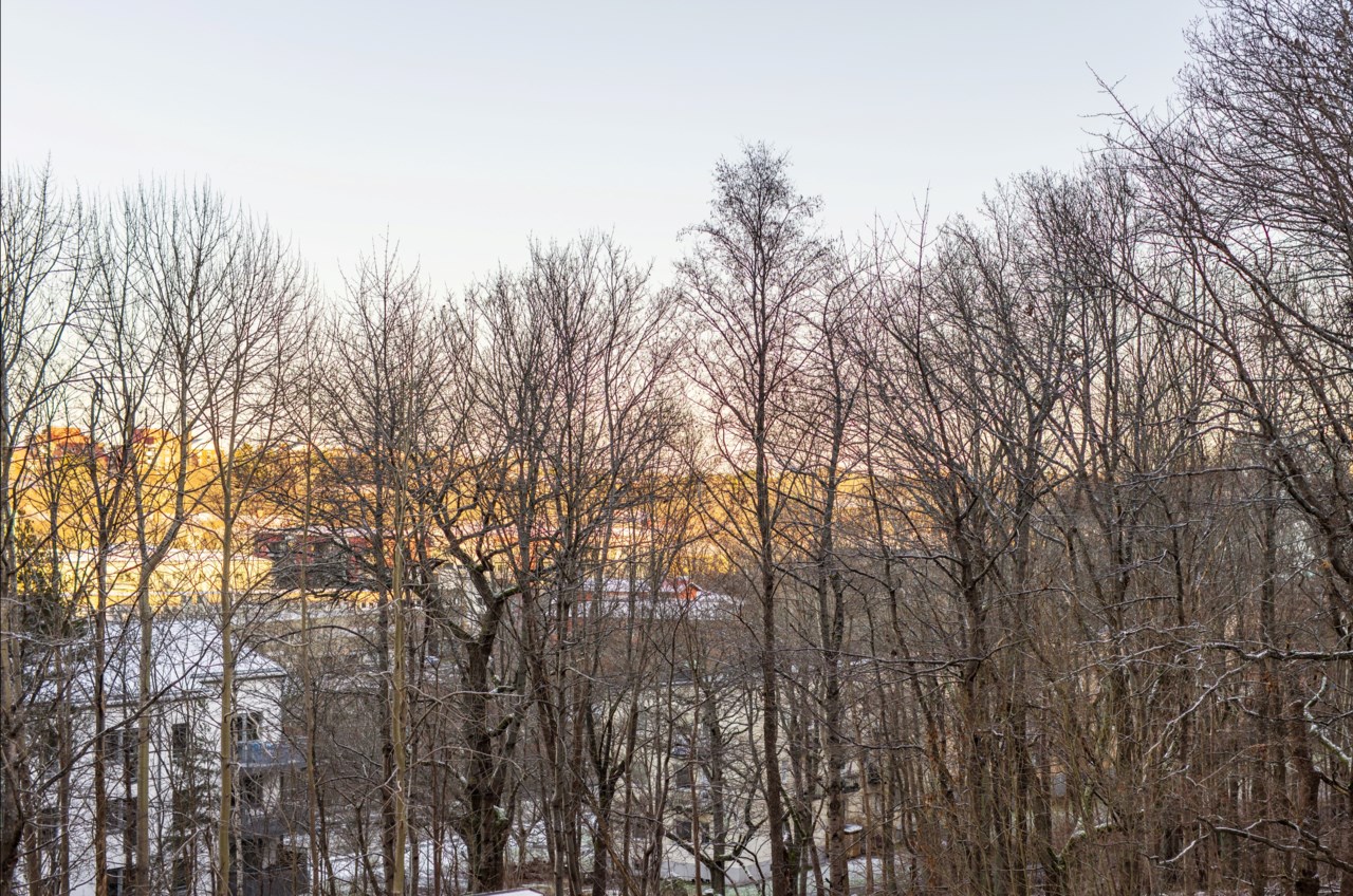 Gösta Ekmans Väg 17