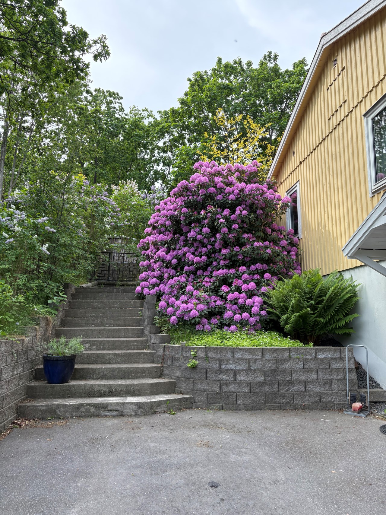 Blommensbergsvägen 101