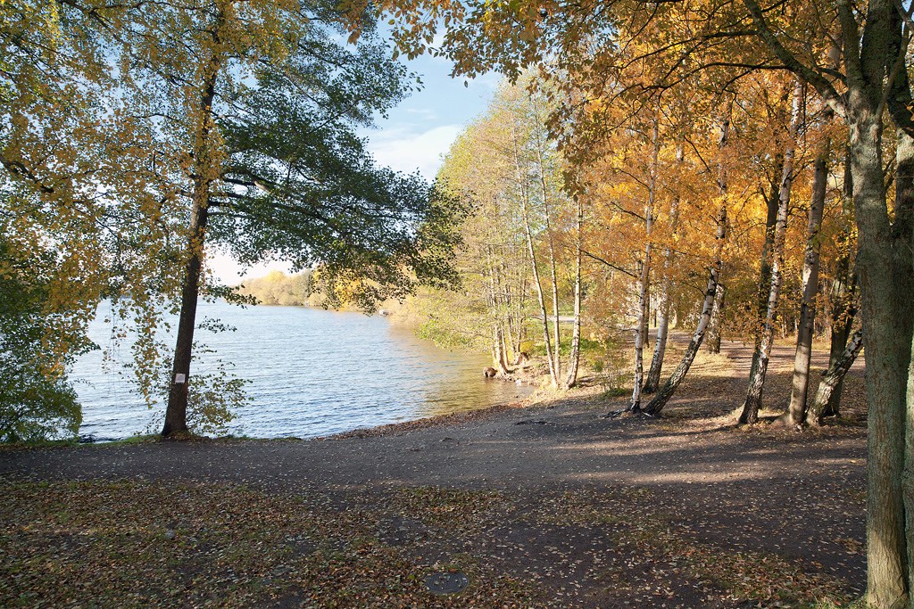 Selmedalsringen 10
