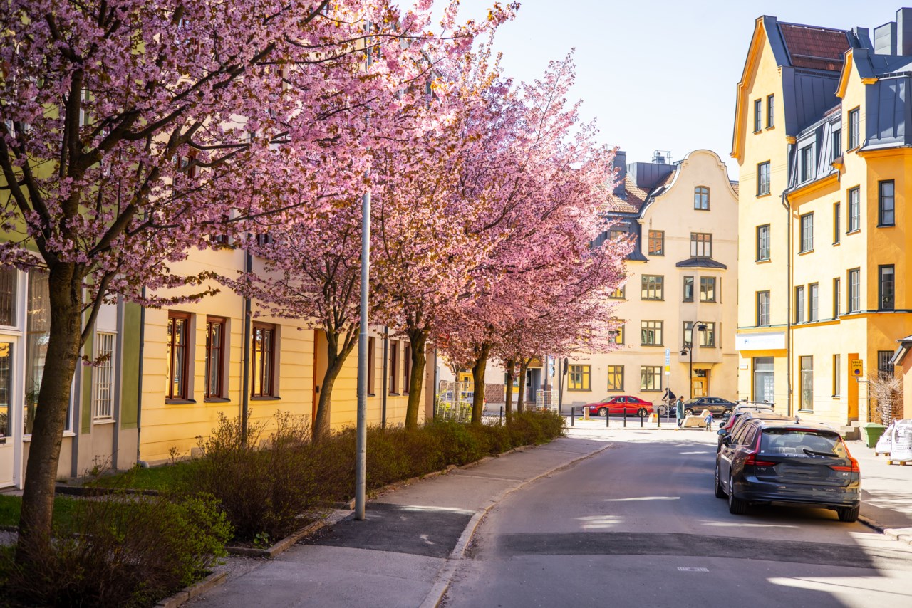 Lilla Aspuddsvägen 8