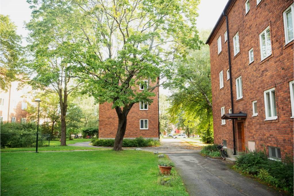 Tvingvägen 26